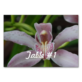 Numéro De Table Fleurs d'orchidées