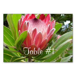 Numéro De Table Fleurs Protea
