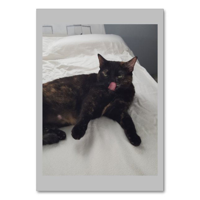 Numéro De Table Fourrure molle, Chat, Lecture Adjective (Par défaut)