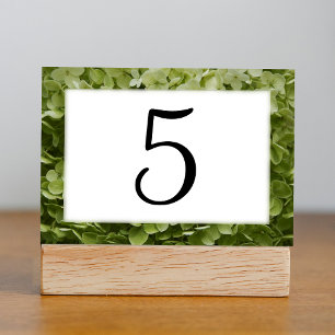 Numéro De Table Green Annabelle Hydrangea Nombre de tableaux flora
