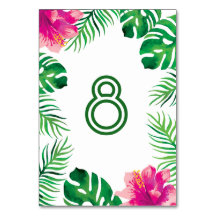 Hibiscus rose et feuilles tropicales