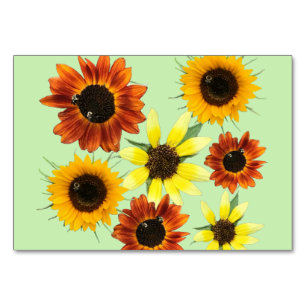 Numéro De Table Les abeilles pollinisent photo lecture flashcards