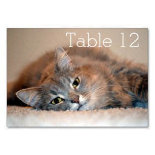 Numéro De Table Long chapeau bleu russe par Shirley Taylor