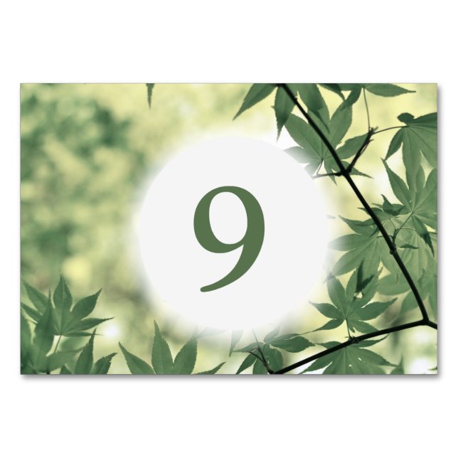 Numéro De Table Lumière du soleil à travers les Feuilles de l'érab (Dos)