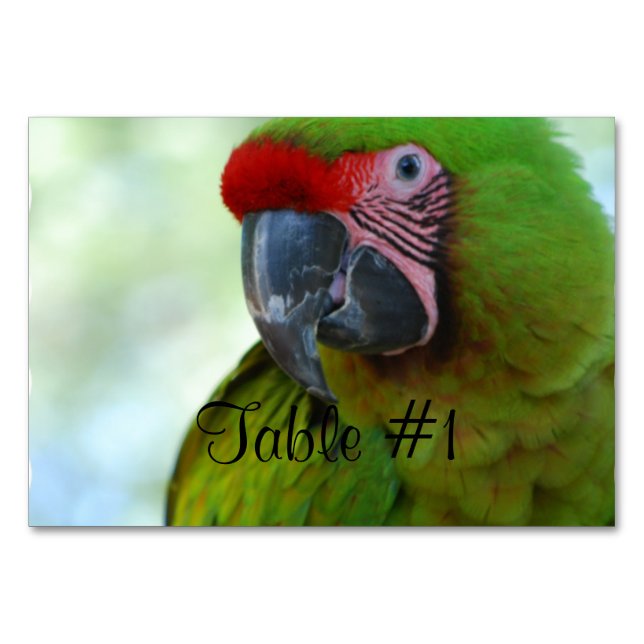 Numéro De Table Macaws (Devant)