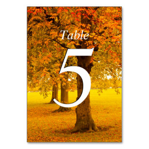Numéro De Table Mariage, Arbres d'automne, numérotés