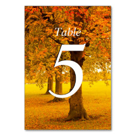 Numéro De Table Mariage, Arbres d'automne, numérotés