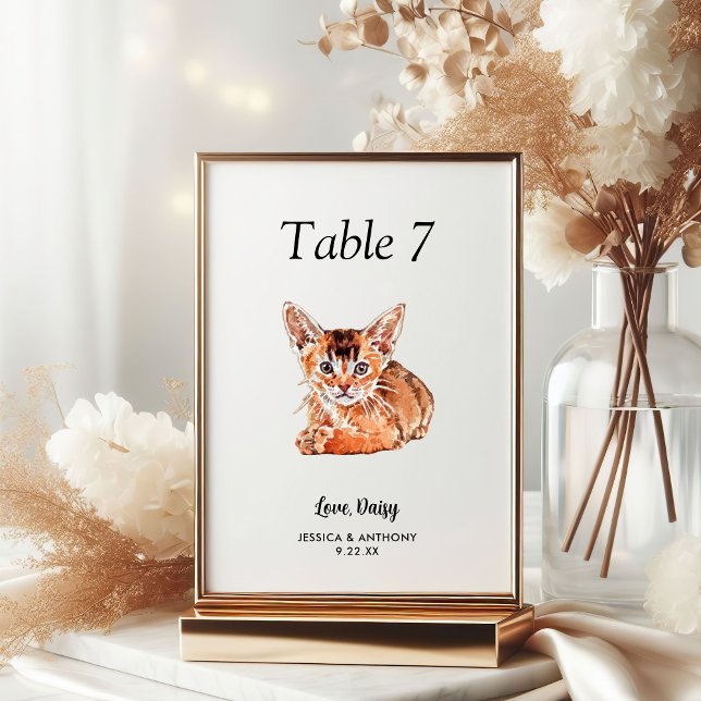 Numéro De Table Mariage Chat Aquarelle Moderne Simple (Créateur téléchargé)