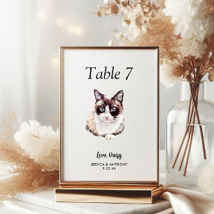 Numéro De Table Mariage Chat Aquarelle Moderne Simple