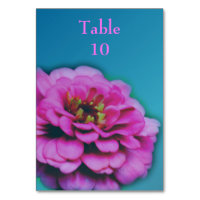 Mariage de fleurs rose Zinnia