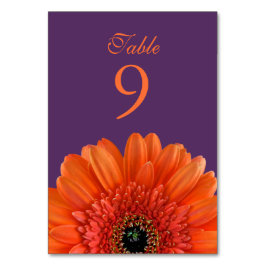 Numéro De Table Mariage orange Gerbera Daisy violet
