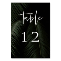 Moody Tropics Mariage