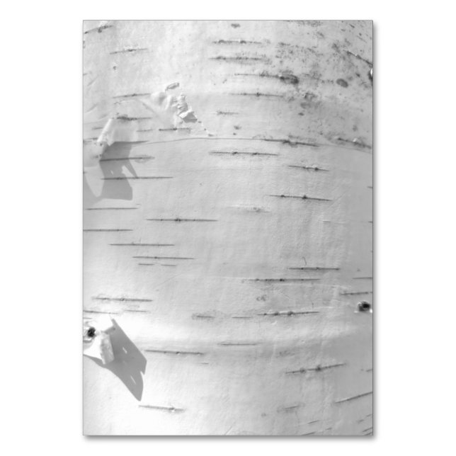 Numéro De Table Motif d'écorce de bouleau (Par défaut)