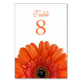 Numéro De Table Orange Gerbera Daisy Mariage blanc