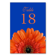 Orange Gerbera Daisy Royal Blue Mariage