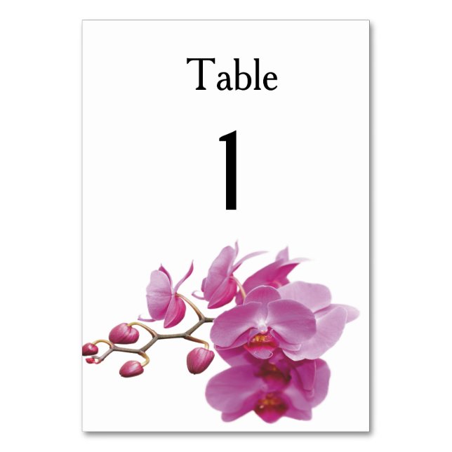 Numéro De Table Orchidées Packages Mariages bon marché ensembles d (Par défaut)