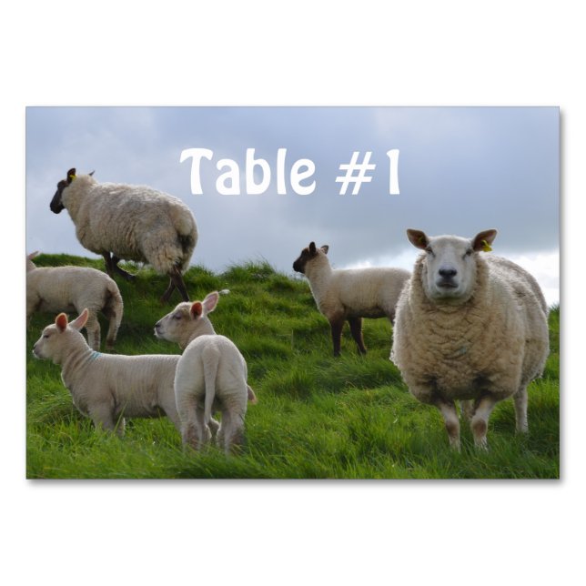 Numéro De Table Personnaliser (Devant)