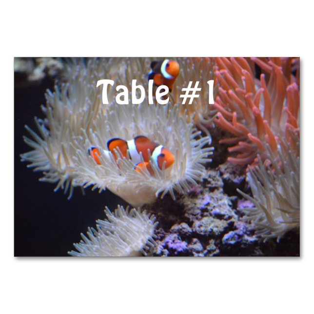 Numéro De Table Poisson clown (Devant)