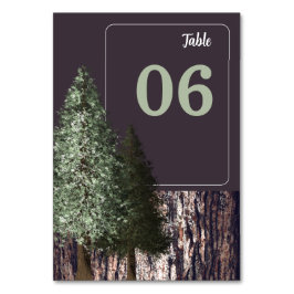 Numéro De Table Redwoods & Bark, Mariage rustique