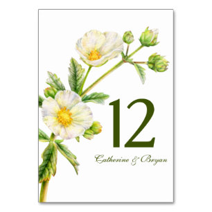 Numéro De Table Rose rocher aquarelle fleurie mariage numéro de ta