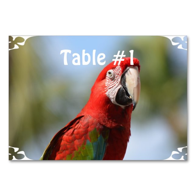 Numéro De Table Rouge écarlate Macaw (Devant)