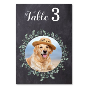 Numéro De Table Russe Chalkboard Eucalyptus Mariage Photo 