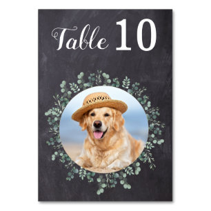 Numéro De Table Russe Chalkboard Eucalyptus Mariage photo moderne