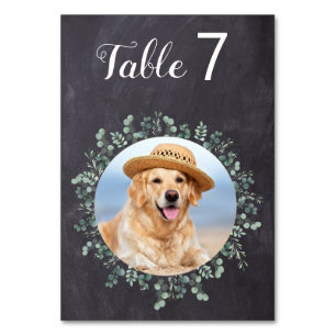 Numéro De Table Russe Eucalyptus Chalkboard Chien Photo Mariage an