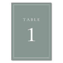 Sage Green I Mariage minimaliste moderne