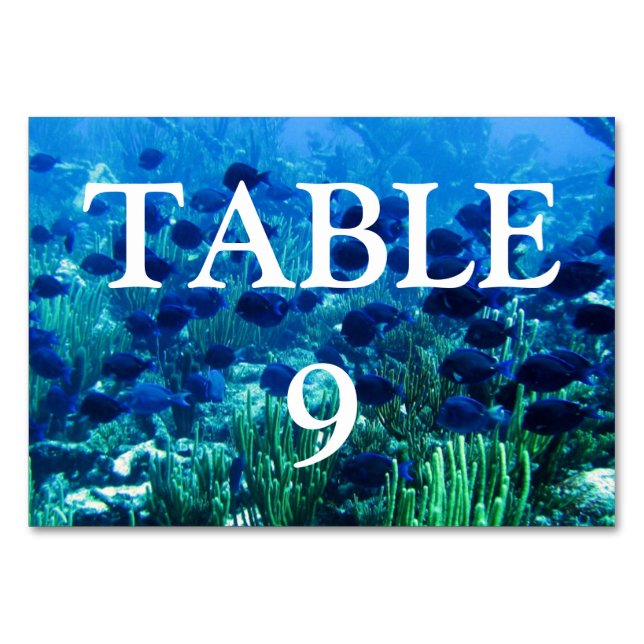 Numéro De Table Shoal of Blue Discus Fish (Dos)