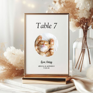 Numéro De Table Simple Photo de Chat en Noir et Blanc Mariage 