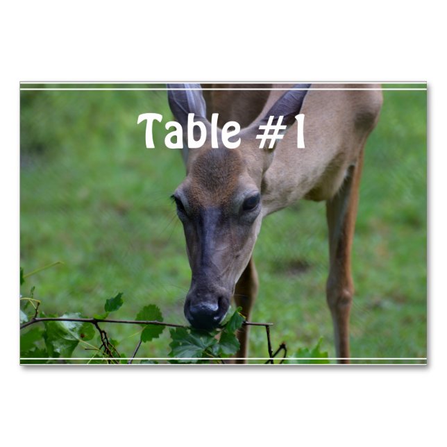 Numéro De Table Snacking Deer (Devant)
