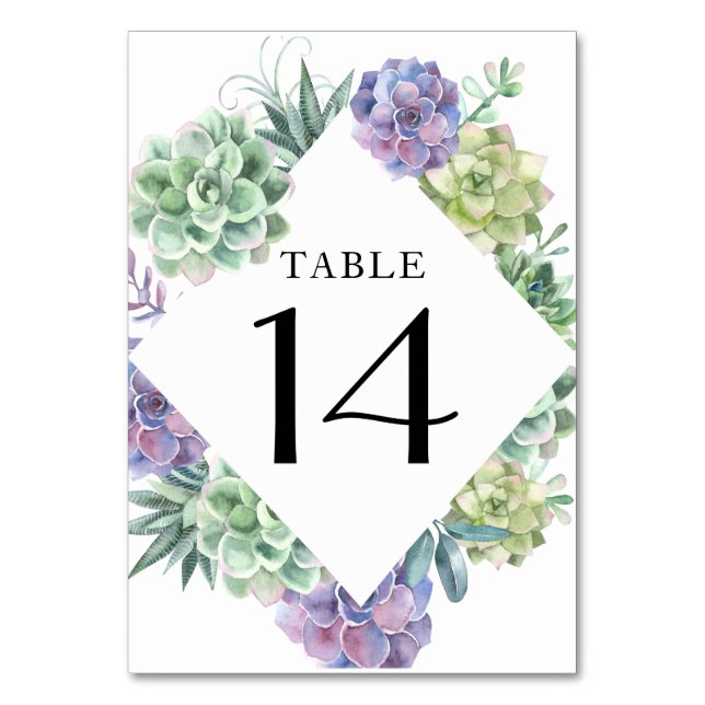 Numéro de table Succulent (Par défaut)