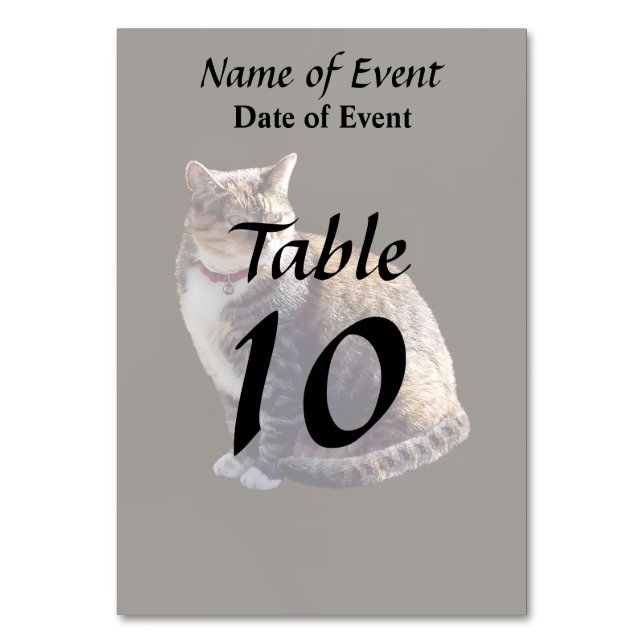 Numéro De Table Tortoiseshell (Par défaut)