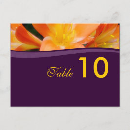 Numéro de tableau Carte postale