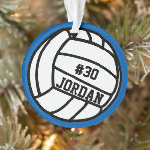 Numéro, nom, équipe du joueur de volley-ball perso