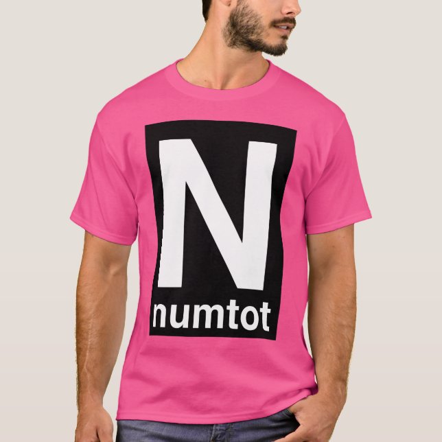 Numtot Transit T-Shirt (Vorderseite)