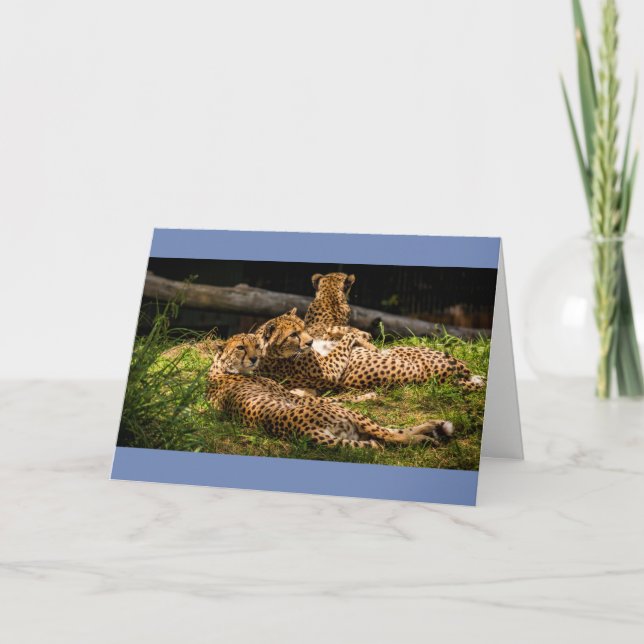 Nun, ich kann es nicht sehen! karte (Vorderseite)