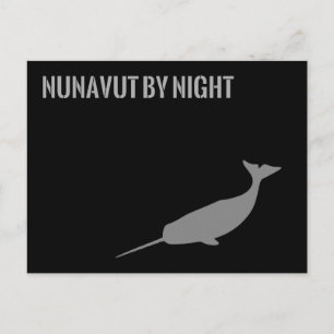 Nunavut by Night Postkarte
