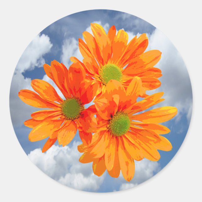 Nur 3 Gerbera Daisy Blüten + Ihr Text & Ideen Runder Aufkleber (Vorderseite)