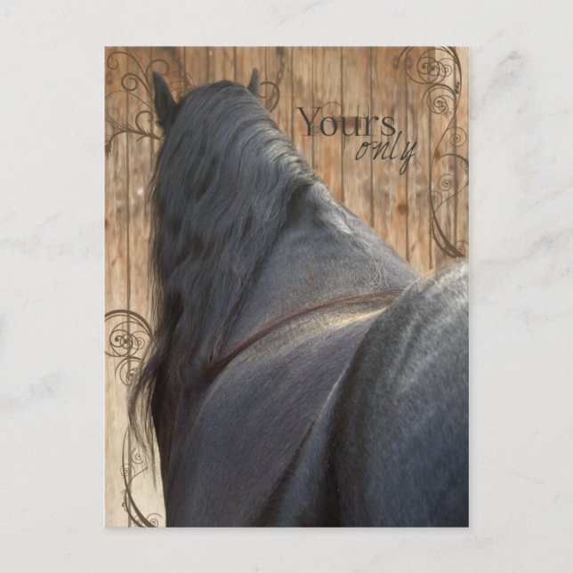 Nur bei Ihnen - Postkarte (Vorderseite)