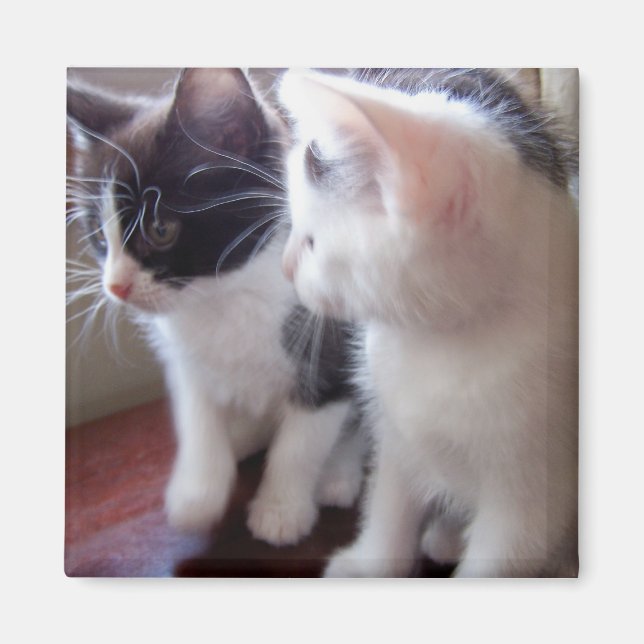 Nur die beiden von uns Magnet (Vorne)