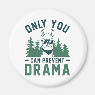 Nur du kannst Drama verhindern Magnet