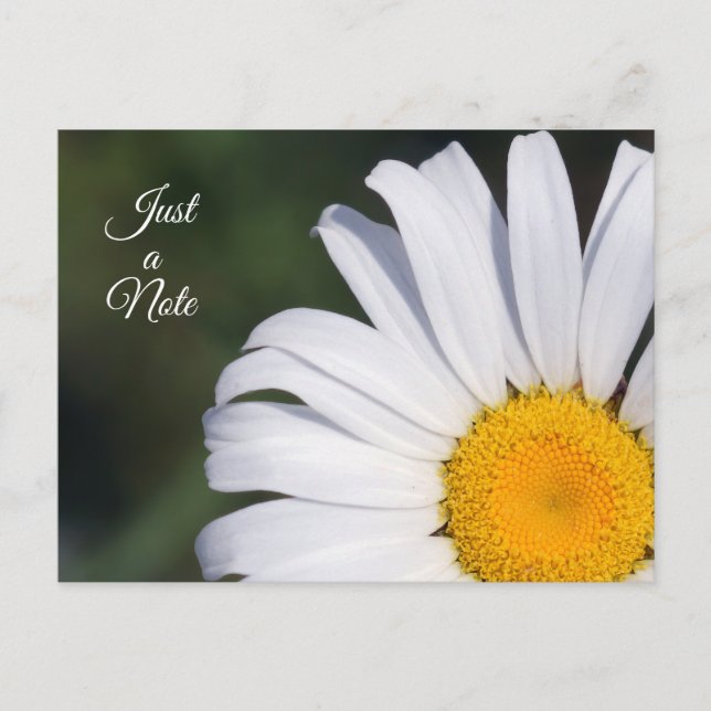Nur ein Hinweis, der Daisy Postcard ausgleicht Postkarte (Vorderseite)