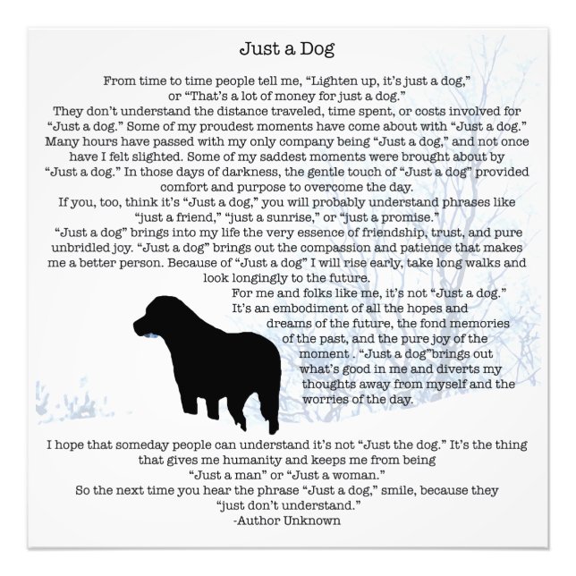 Nur ein Hundebonat - Black Labrador Fotodruck (Vorne)