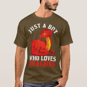 Nur ein Junge, der Drachen liebt T-Shirt