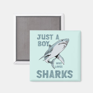 Nur ein Junge, der Hai-Haifisch Lover Liebe Magnet