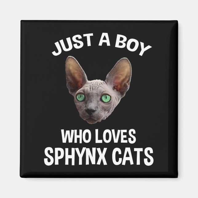 Nur ein Junge, der Sphynx-Katzen Liebe Magnet (Vorne)