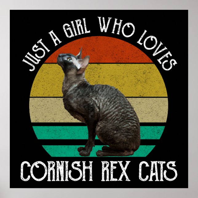 Nur ein Mädchen, das Cornish Rex Katzen liebt Poster (Vorne)