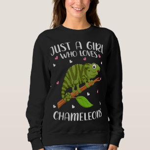 Nur ein Mädchen, das Frauenkammern für Mädchen Ki  Sweatshirt